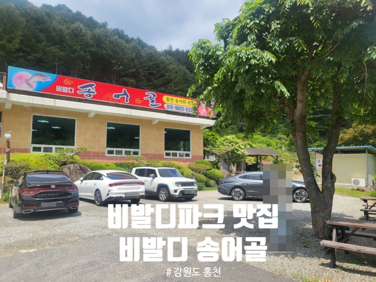 비발디송어골 이미지