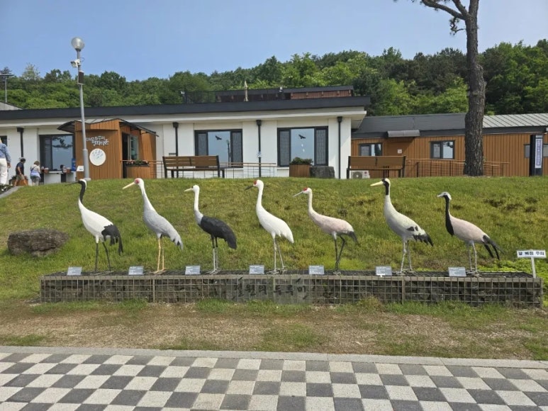 신세대세탁소 이미지