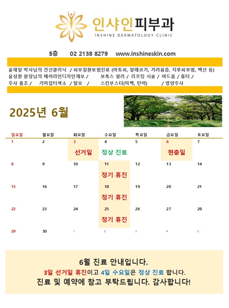 인샤인 이미지