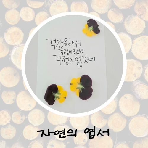 디자인바이숲 이미지