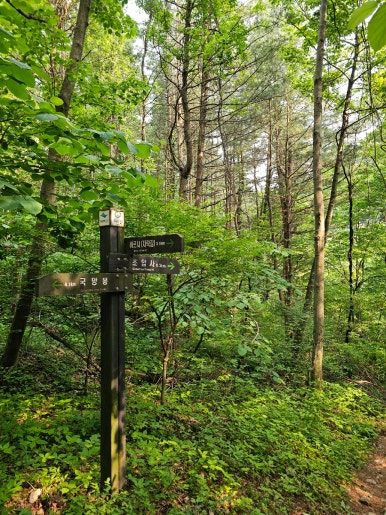 소백산국립공원 초암탐방지원센터 이미지