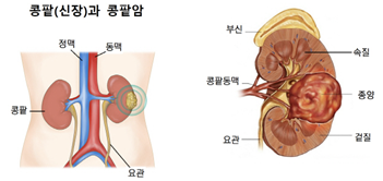 파스텔비뇨의학과의원 이미지