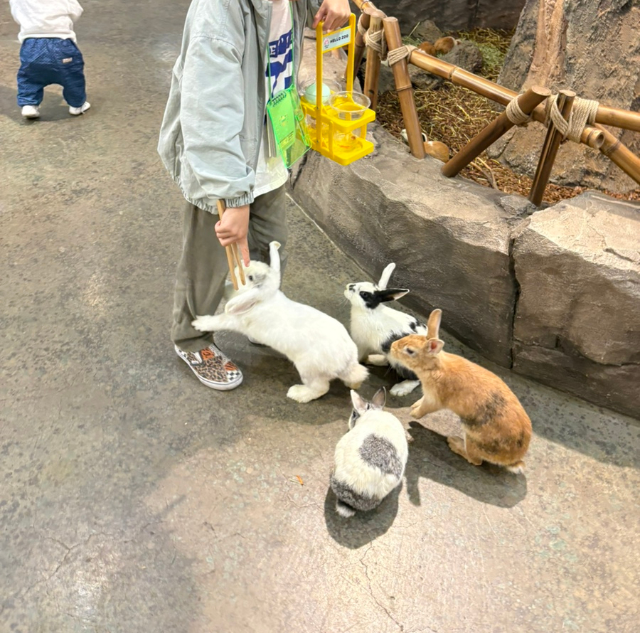 헬로우쥬 카페 이미지