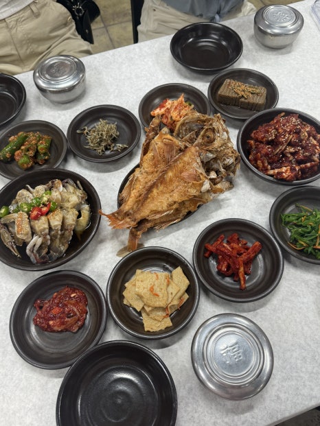 메지탐 이미지