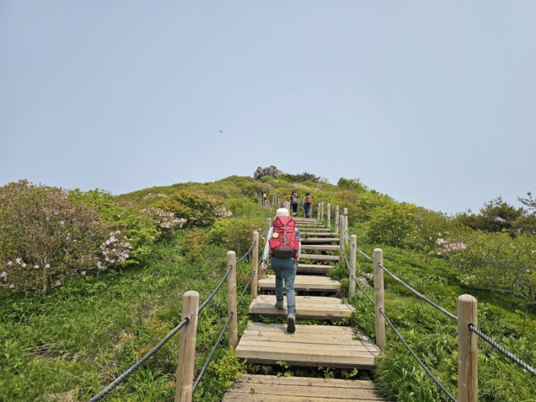 소백산국립공원 초암탐방지원센터 이미지