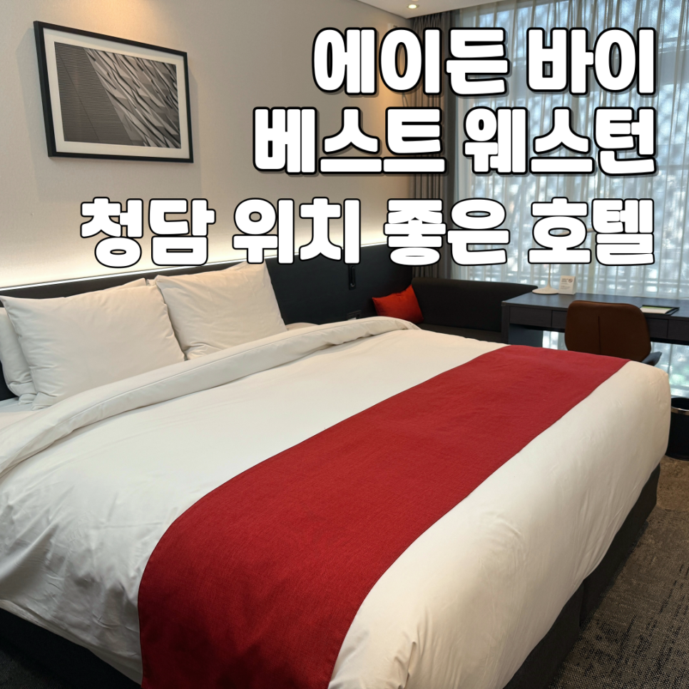 바이에이든 이미지