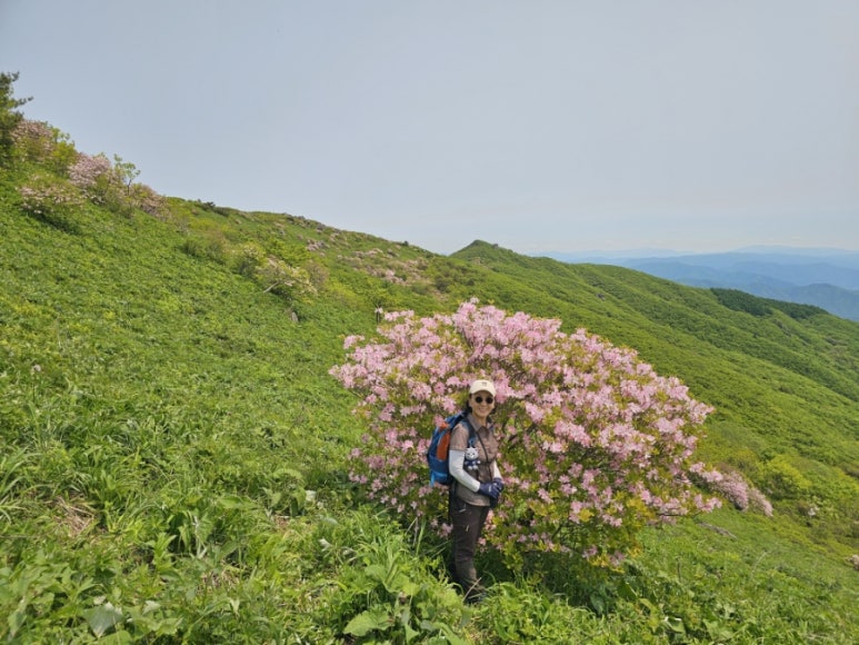 소백산국립공원 초암탐방지원센터 이미지