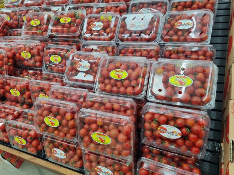 토마토동남점 이미지