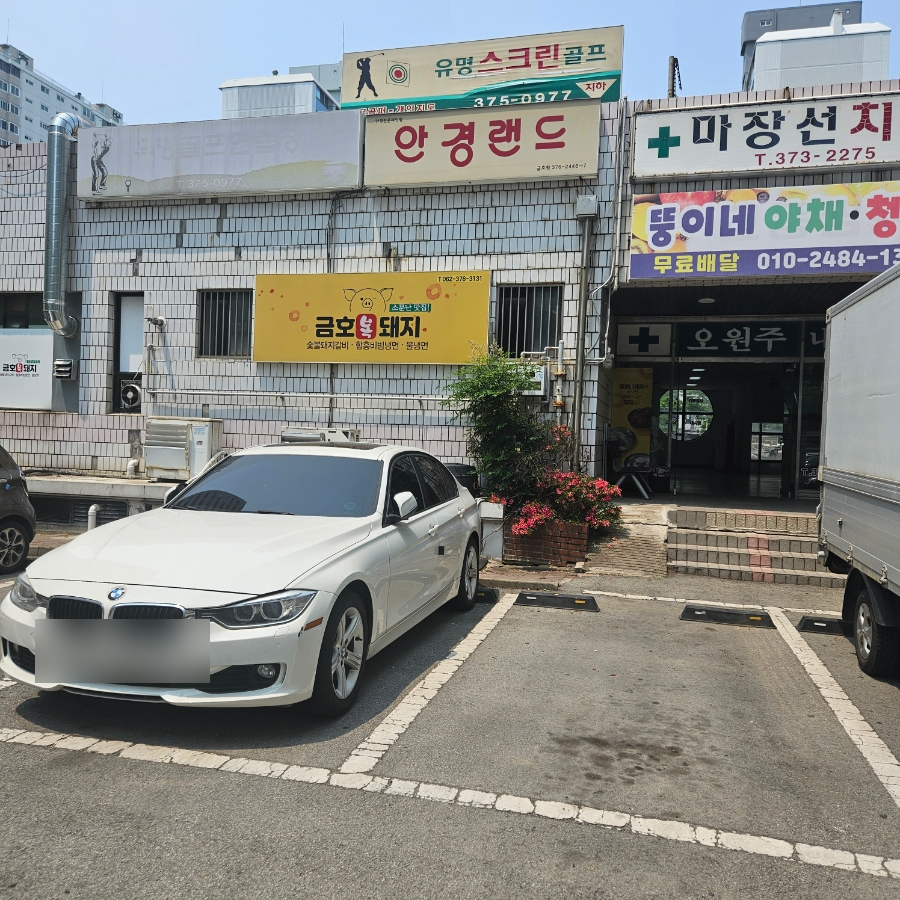 금호복돼지 이미지