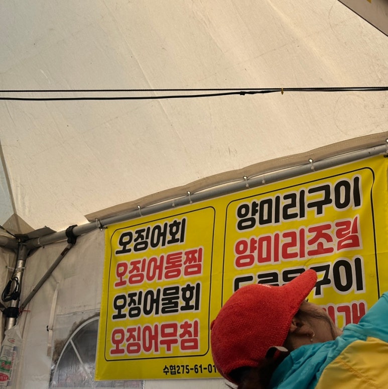 유신호 이미지