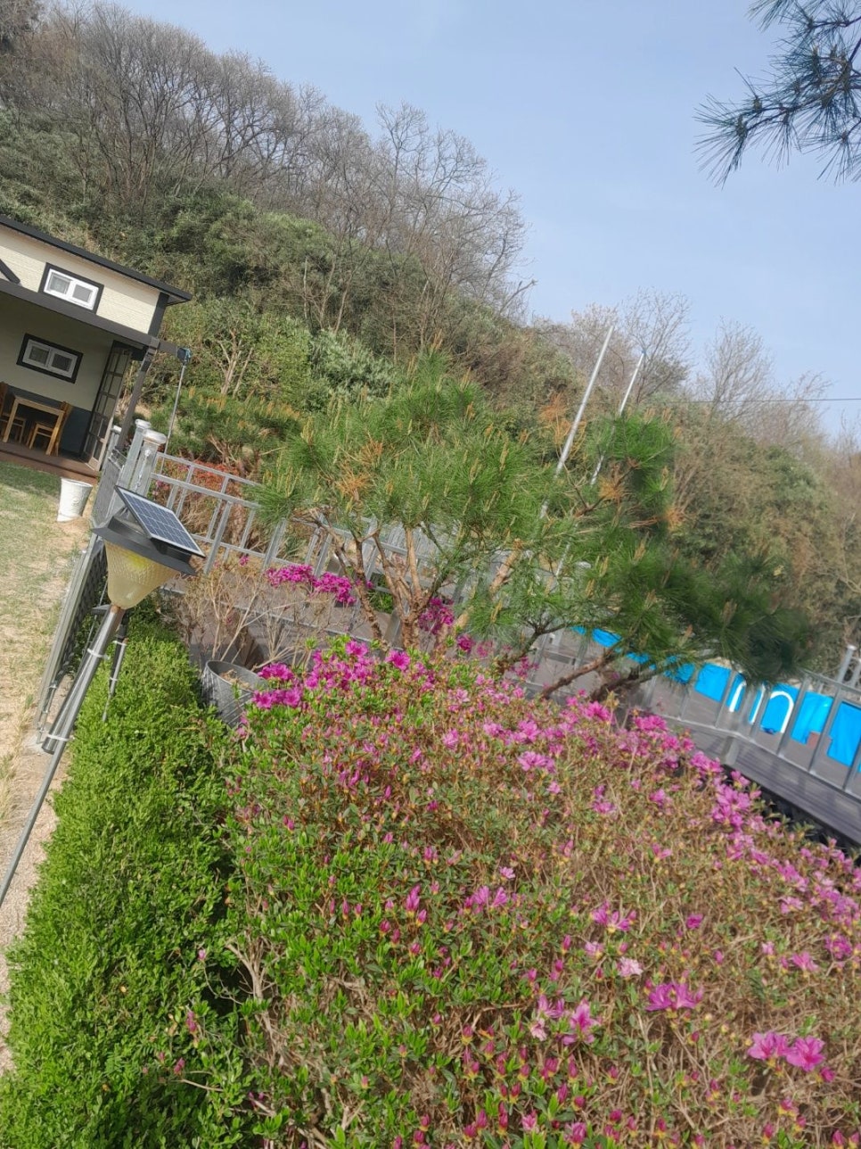 지리산학고을펜션 이미지