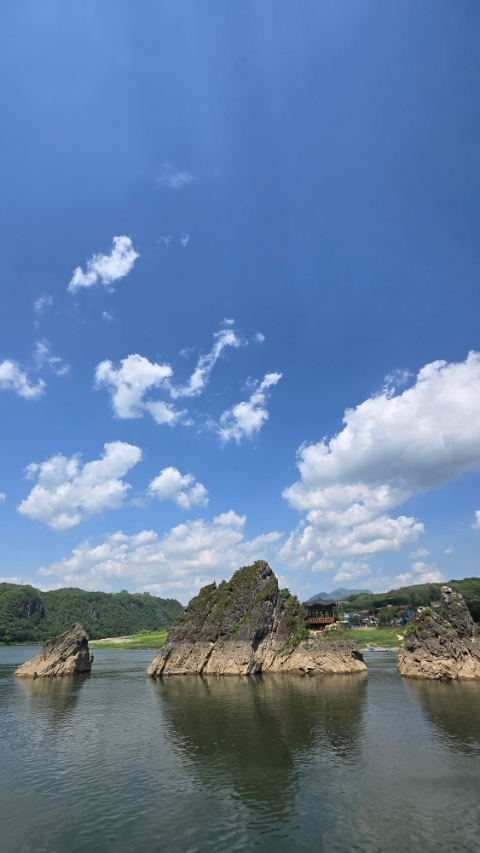 도담막국수 이미지