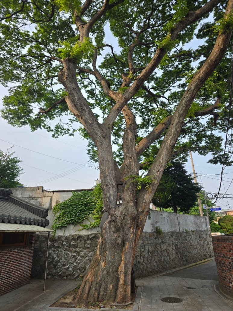외출준비헤어샵 이미지