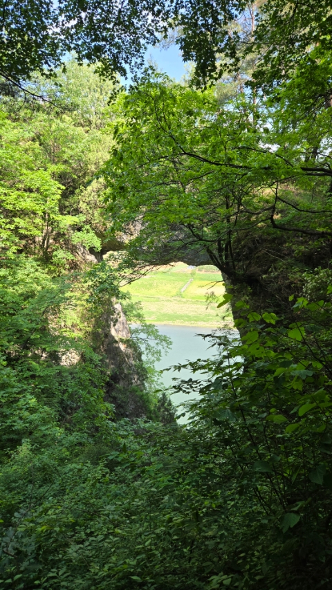 도담막국수 이미지