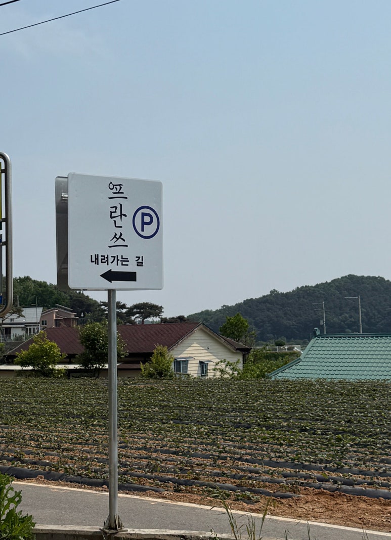 프란쓰 이미지