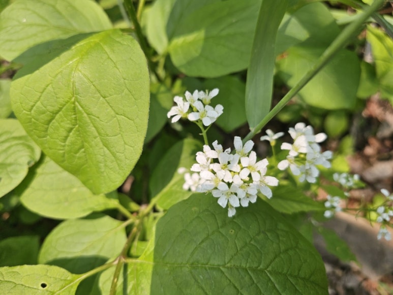 소백산국립공원 초암탐방지원센터 이미지