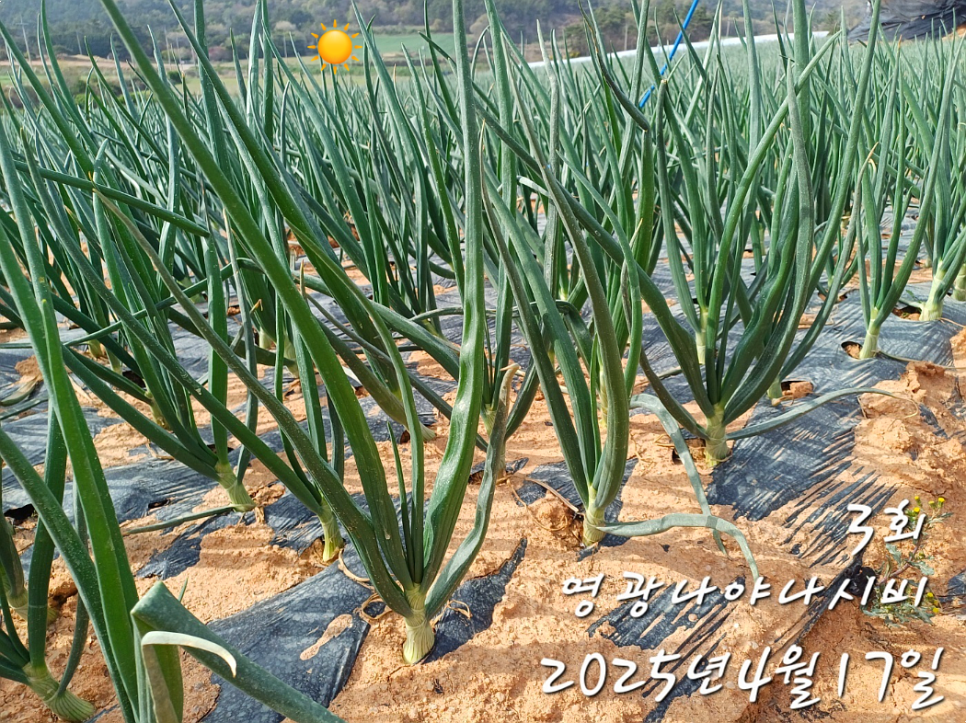 소양1(익산) 이미지
