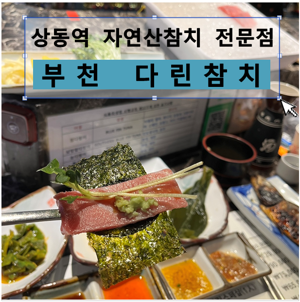 다린참치 이미지