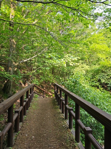 소백산국립공원 초암탐방지원센터 이미지