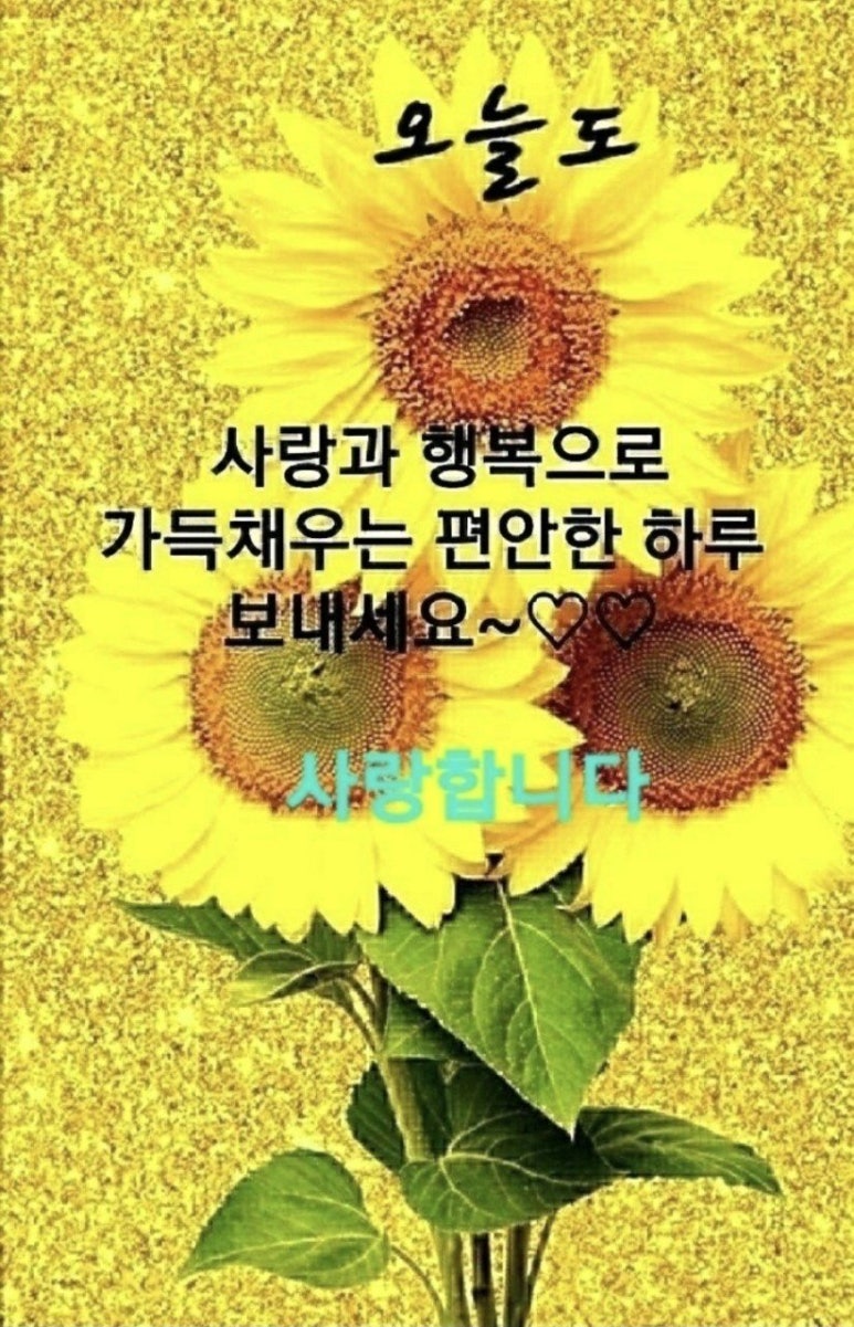 수지상사 이미지