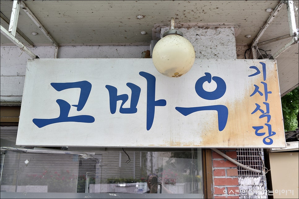 고바우 사진 5