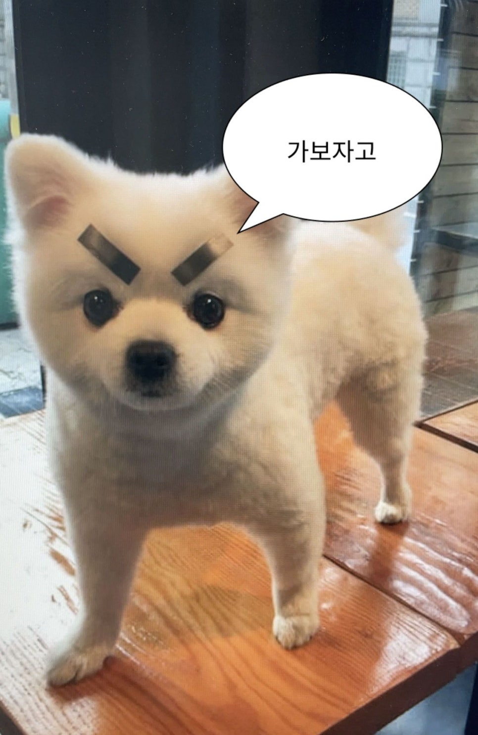 오에프 이미지