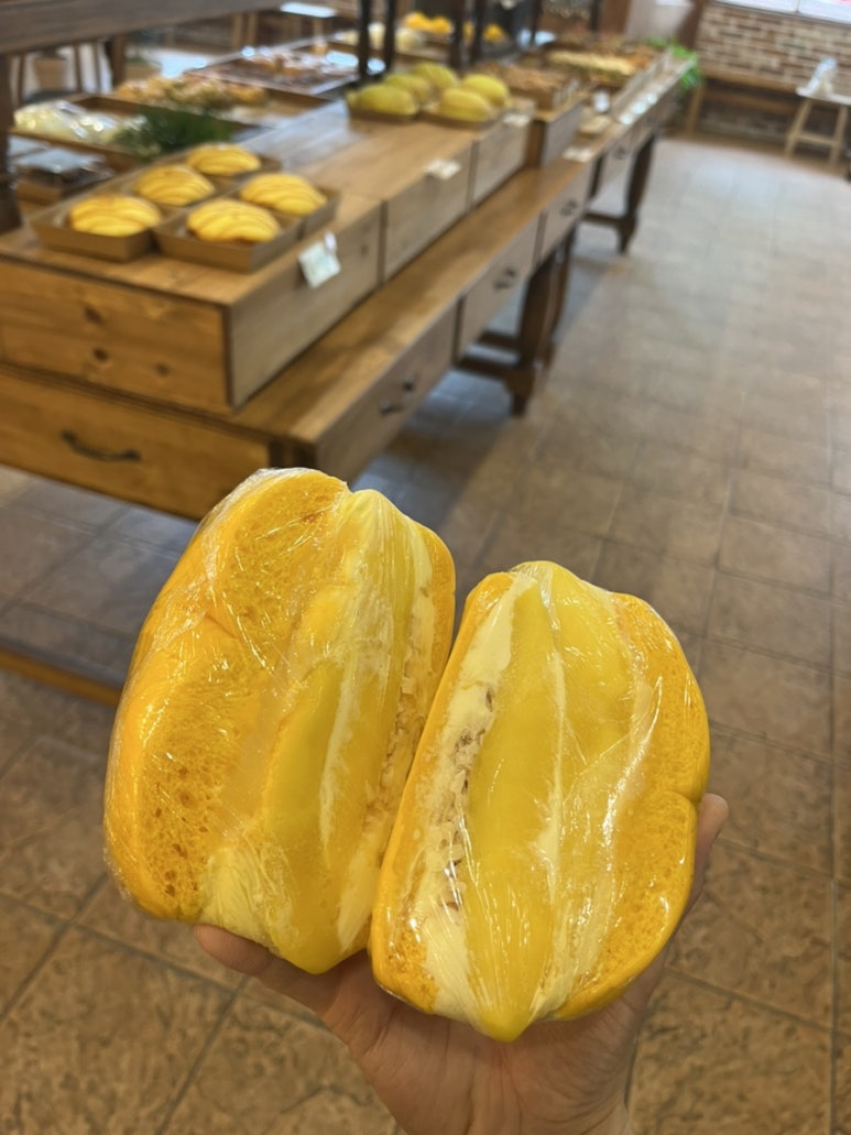 비비당 이미지