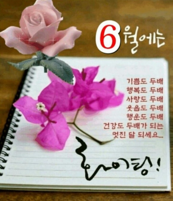 좋은 음식을 만드는 사람들 이미지
