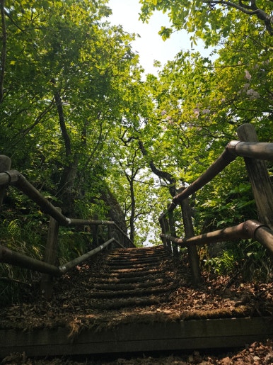 소백산국립공원 초암탐방지원센터 이미지