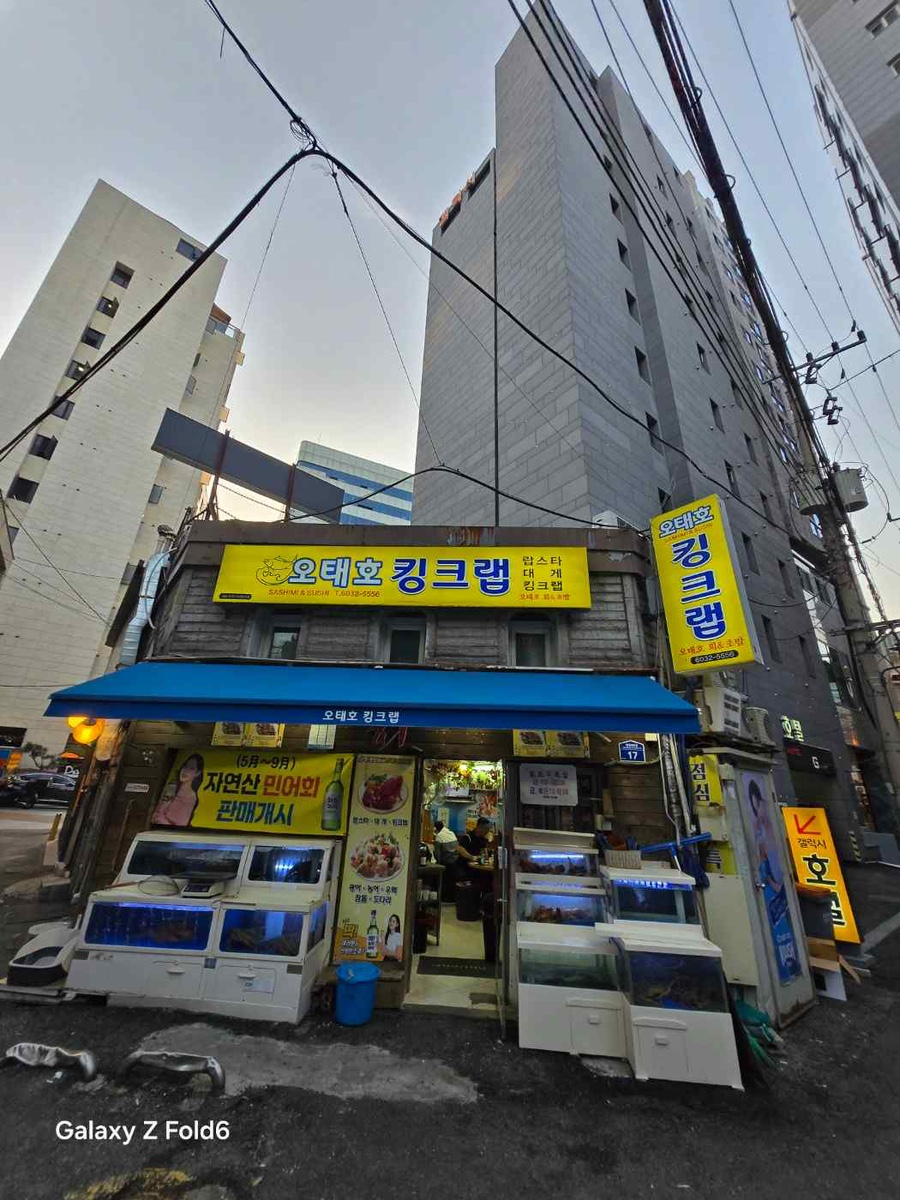 오태호킹크랩 이미지