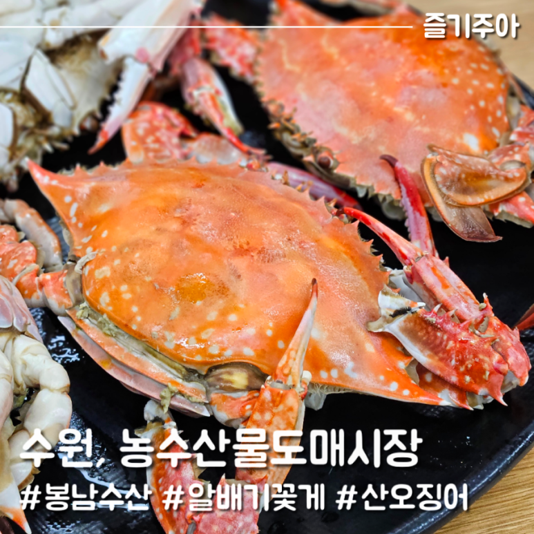 봉남수산 이미지
