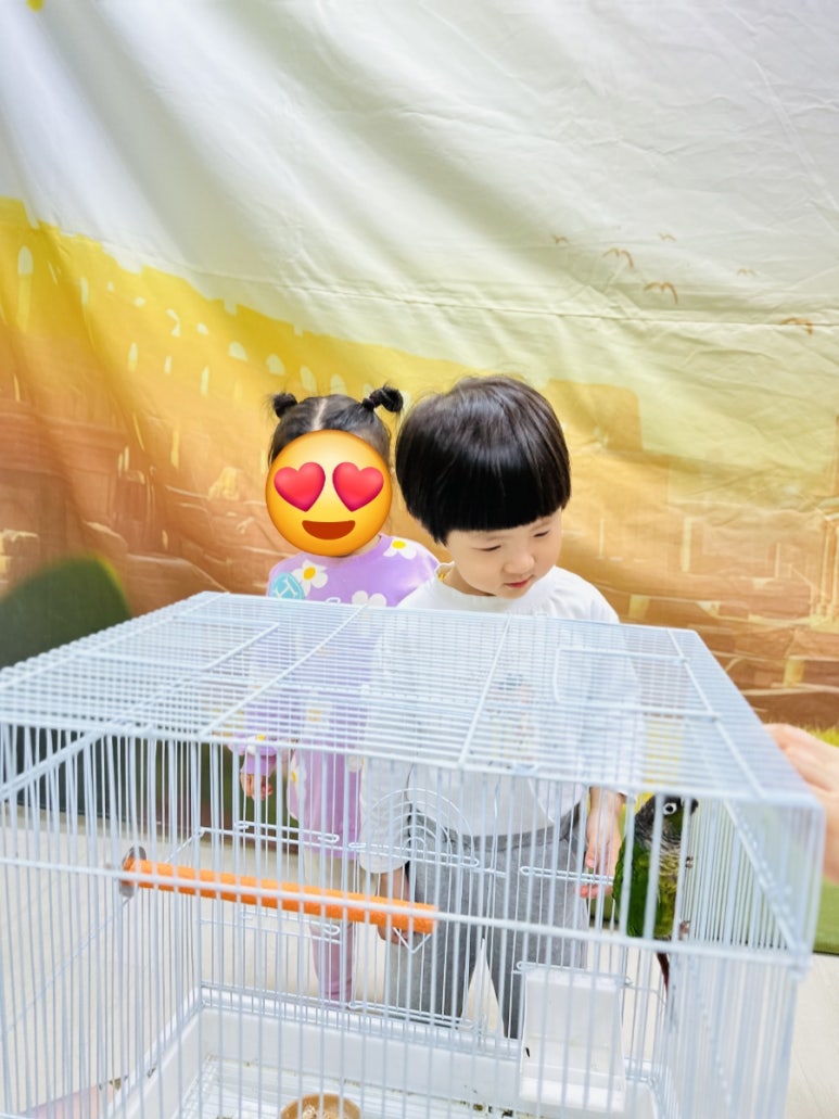 쥬니멀 이미지