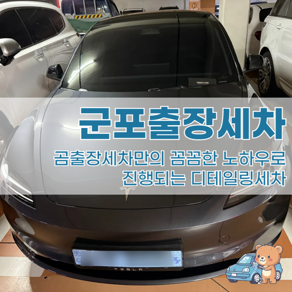 곰세차 이미지