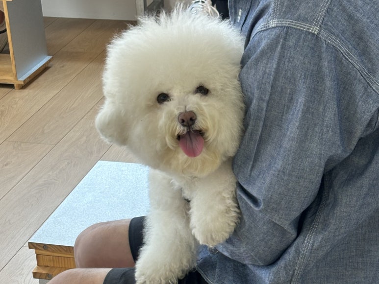 노든 이미지