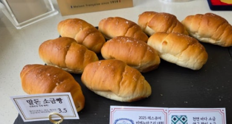 꼼아파리 이미지