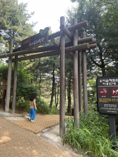 오패산 유아숲체험원 이미지