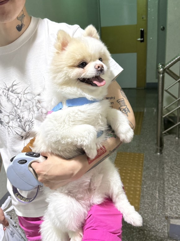 인빈스 이미지
