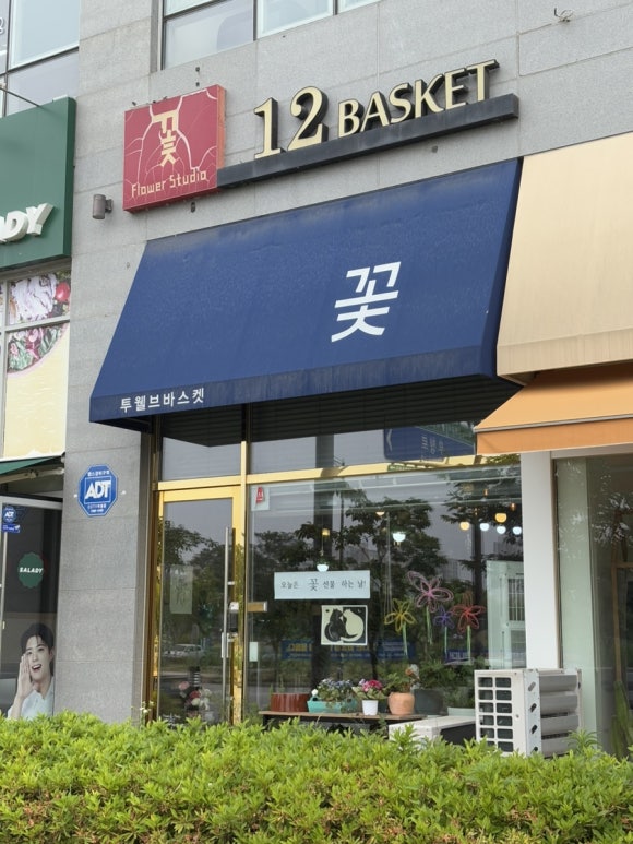 투웰브바스켓 이미지