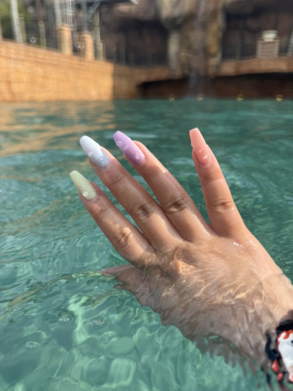 기린 에스테틱 이미지