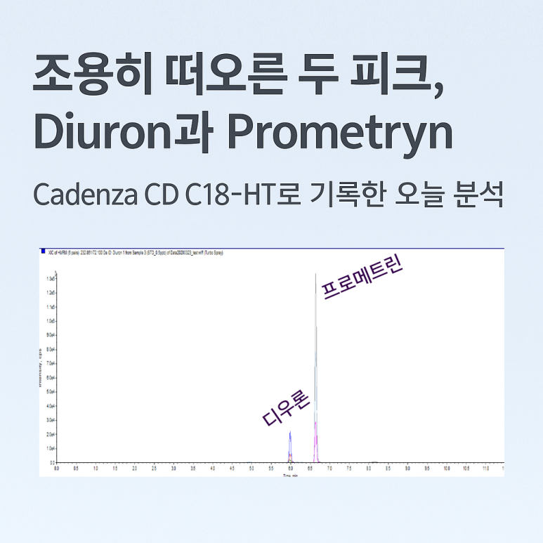 메트린 이미지