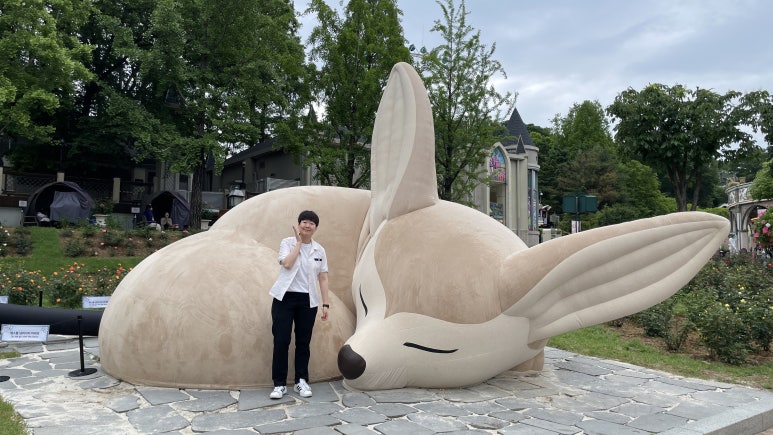 로로월드 이미지