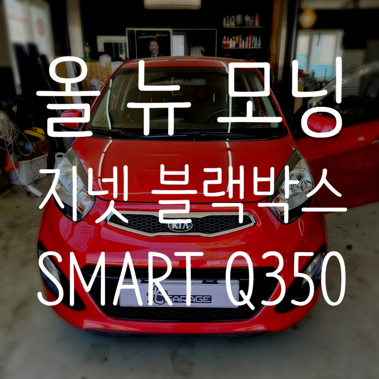 광쓰게러지 이미지
