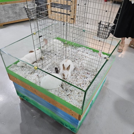 다솜생태관 이미지