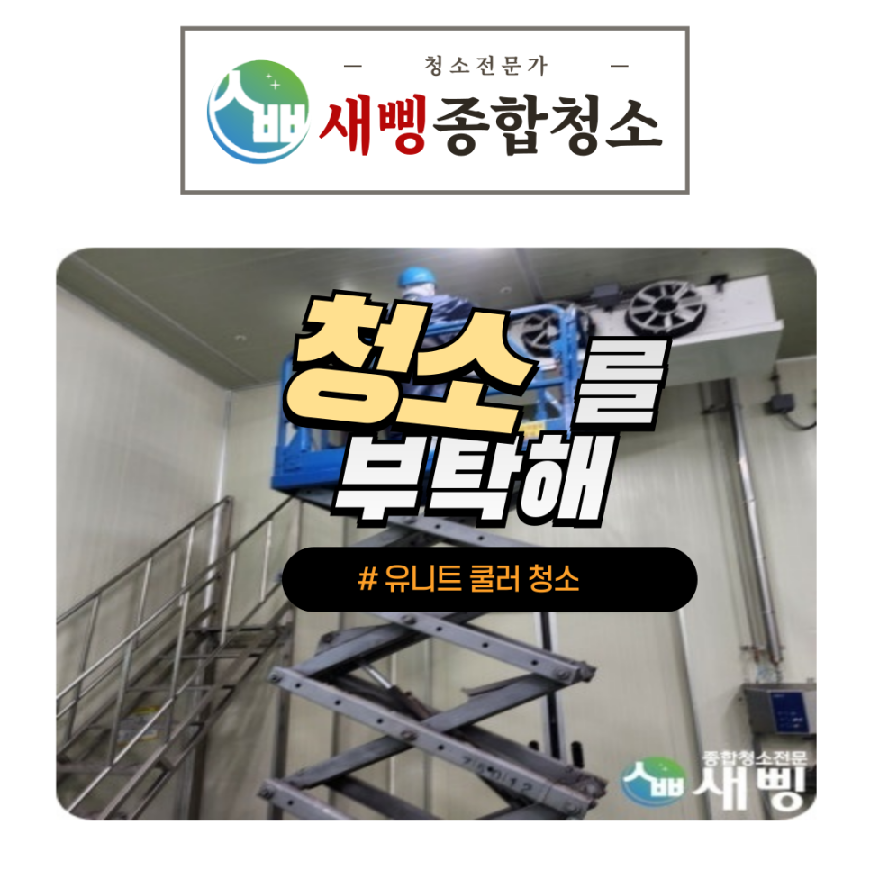 새삥종합청소 경기강원지사 이미지