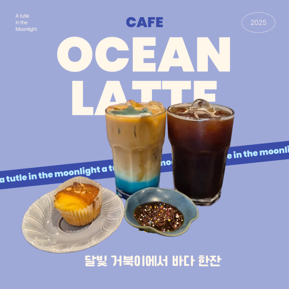 달빛 거북이 이미지