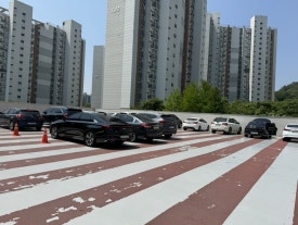 느티나무마트 이미지