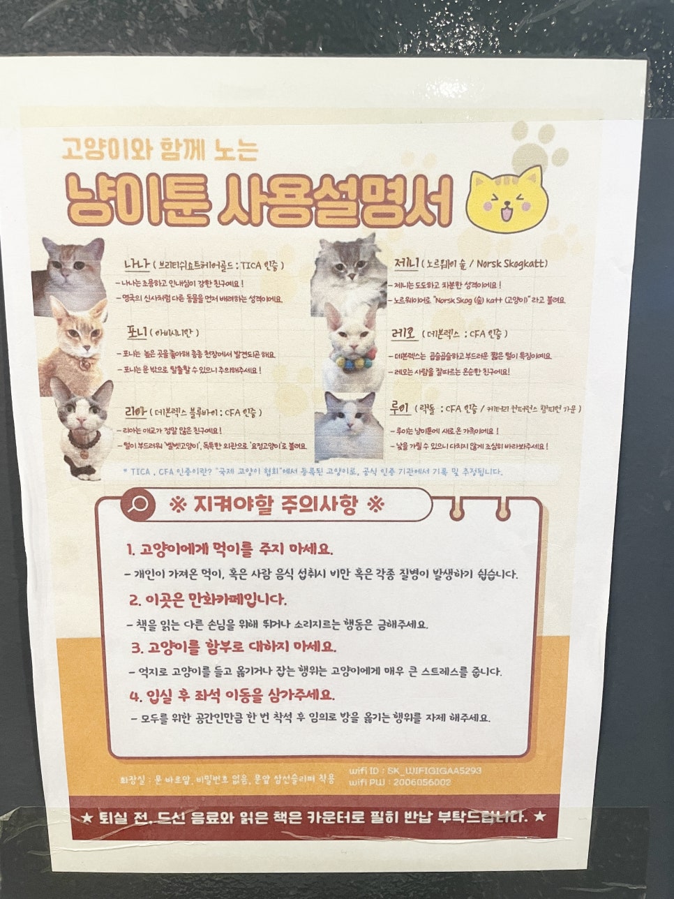 냥이툰 이미지