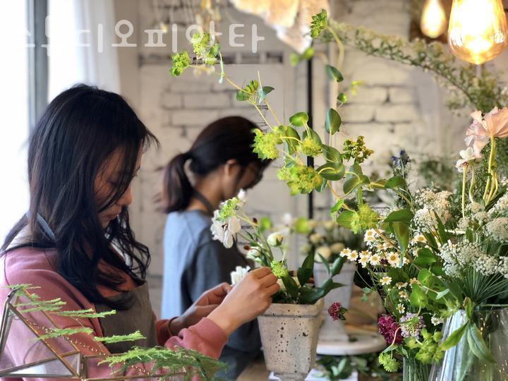 스튜디오피안타 이미지