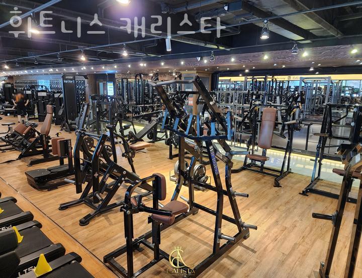 캐리피트니스 이미지