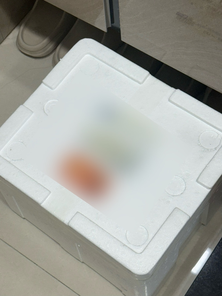동화가든두부연구소 이미지